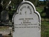 image number 129 Jane Pethick